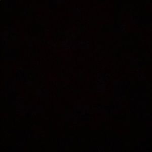 Meet your Posher, Gabby